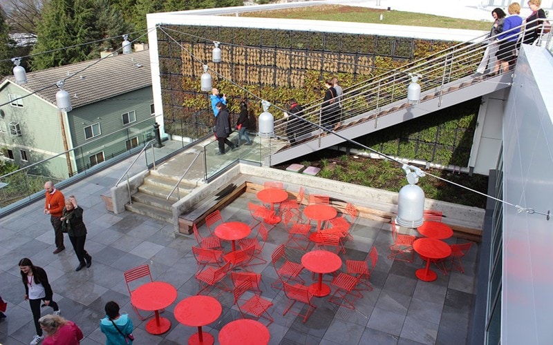 Google Campus